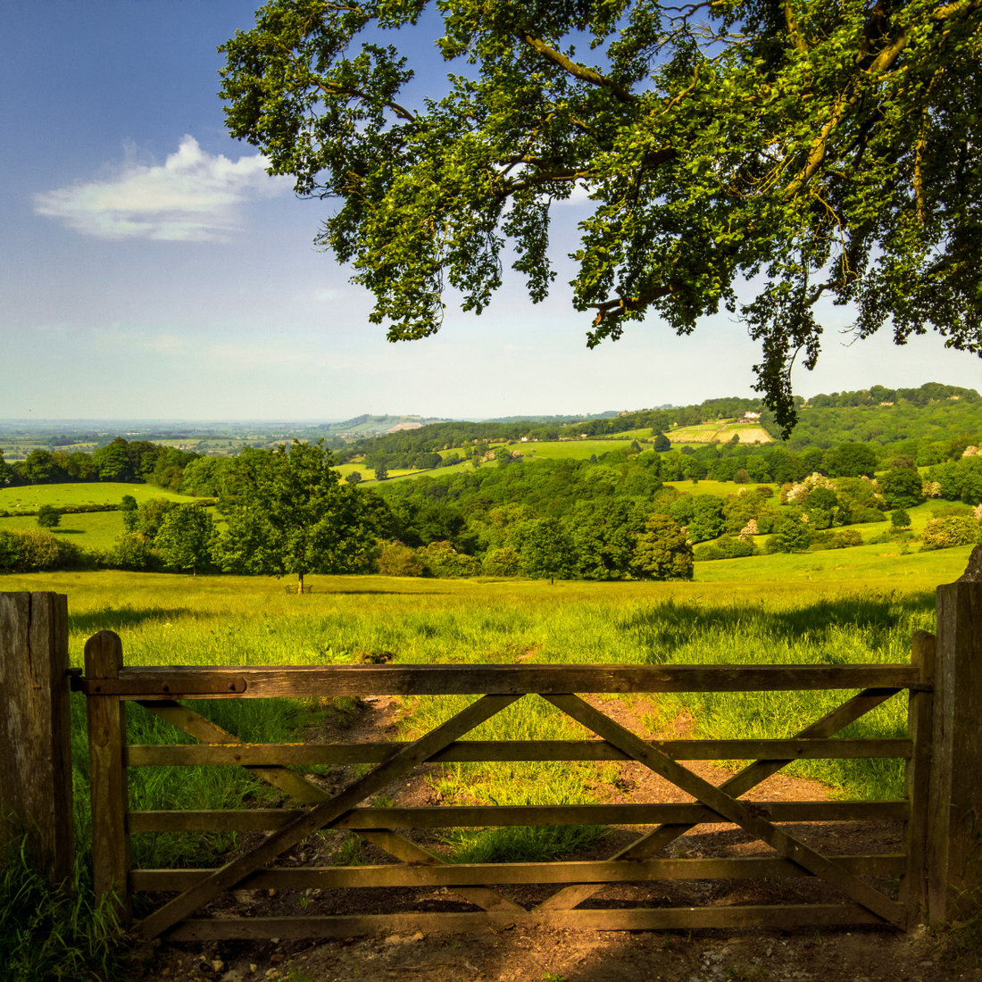 Clarkson’s Farm Season 5: Why the 'Chipping Norton Style' is All About Practicality