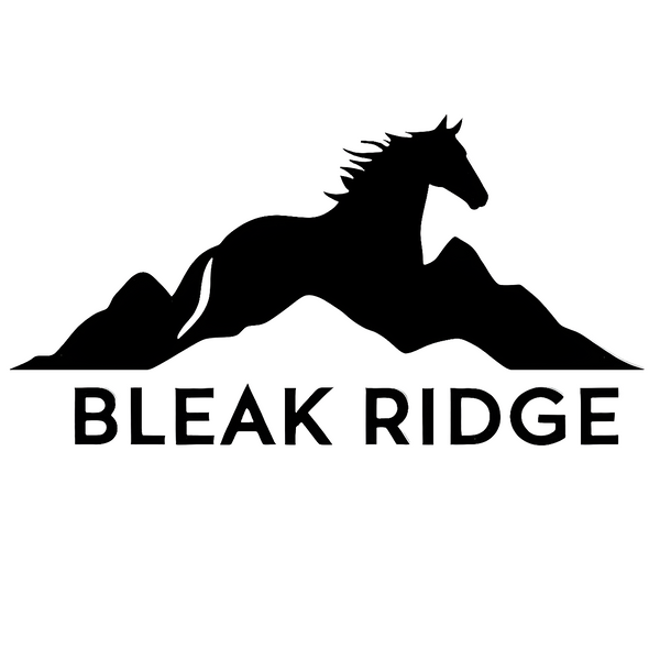 Bleak Ridge